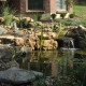 Pond Water Testing, Maintenance Tips and Tricks for Pond Owners: Year-Round Care for a Healthy Pond