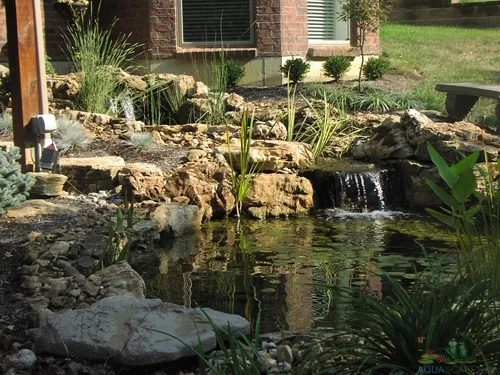Pond Water Testing, Maintenance Tips and Tricks for Pond Owners: Year-Round Care for a Healthy Pond