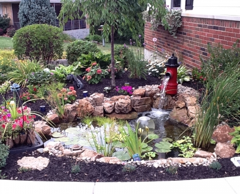 Top Trends in Pond Design for 2025