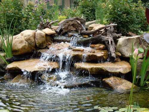 As winter approaches, it's crucial to prepare your water garden for the colder months ahead. Winterizing your water garden is a critical step in maintaining a healthy and thriving aquatic ecosystem. In this comprehensive guide, we'll walk you through the essential steps, provide friendly reminders, and share tips and tricks to ensure a successful winterization process. Whether you're a seasoned water gardener or a beginner, this guide has you covered.