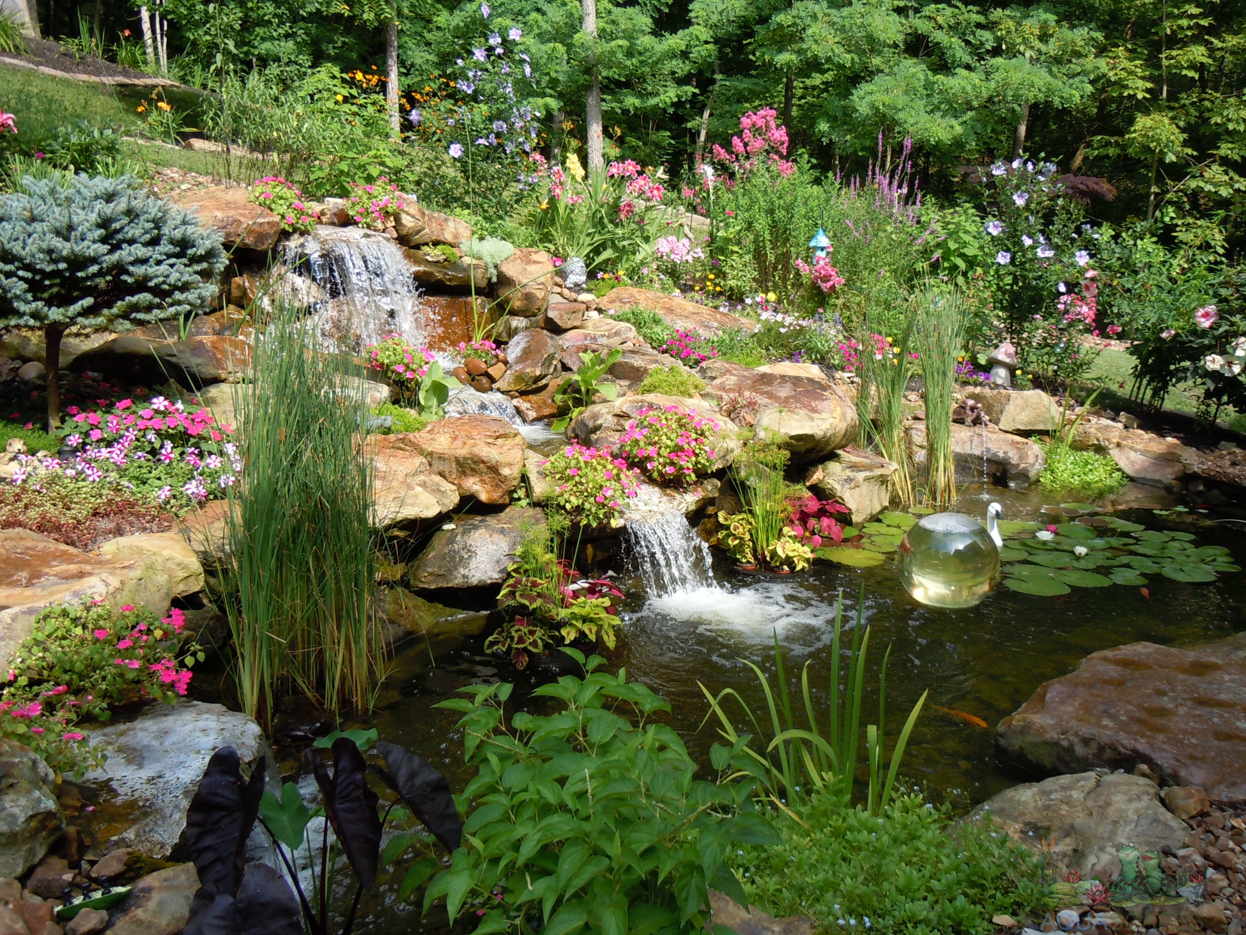 Importance of Spring Cleaning your Water Garden