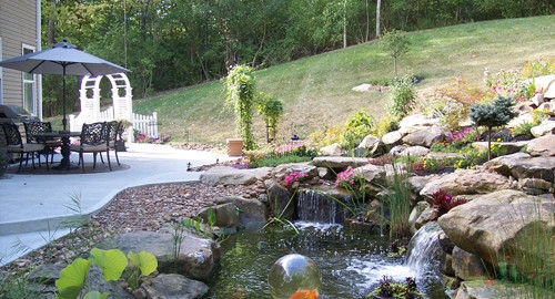 Koi Pond Contractors