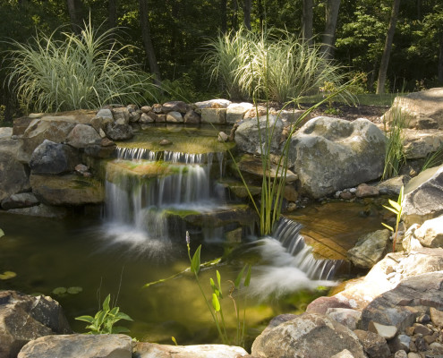 Maintaining Water Quality in Your Water Garden