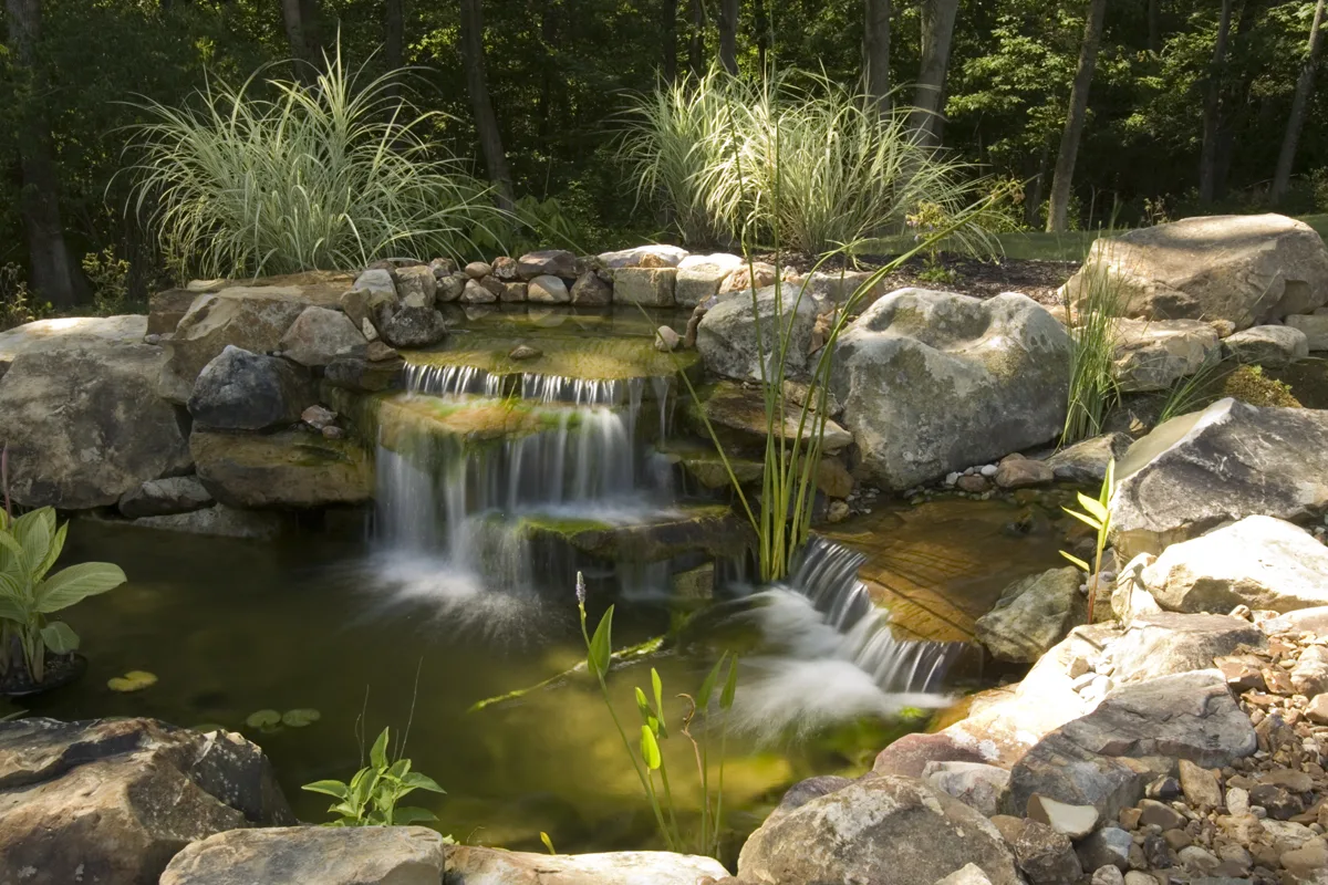 Maintaining Water Quality in Your Water Garden