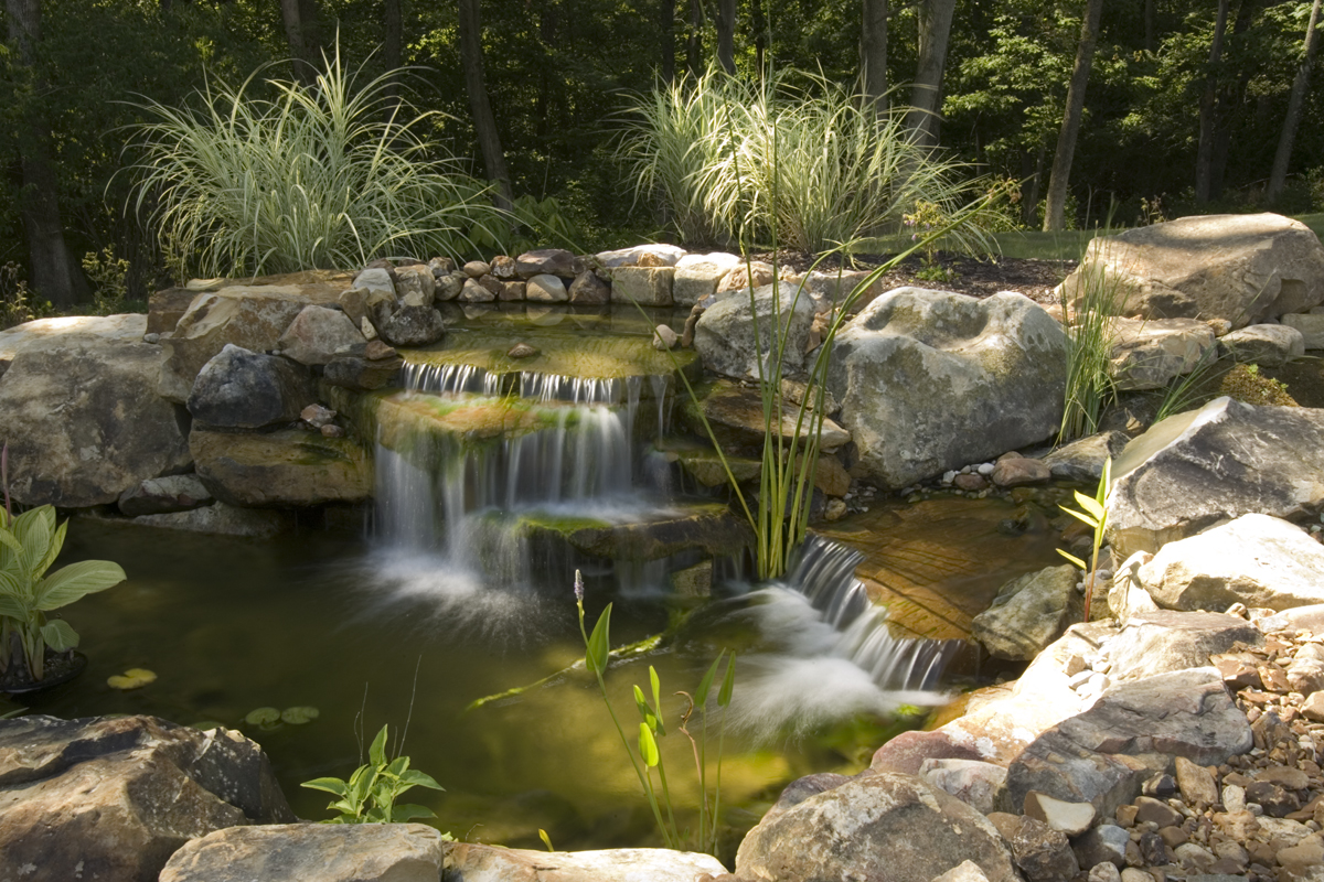 Maintaining Water Quality in Your Water Garden