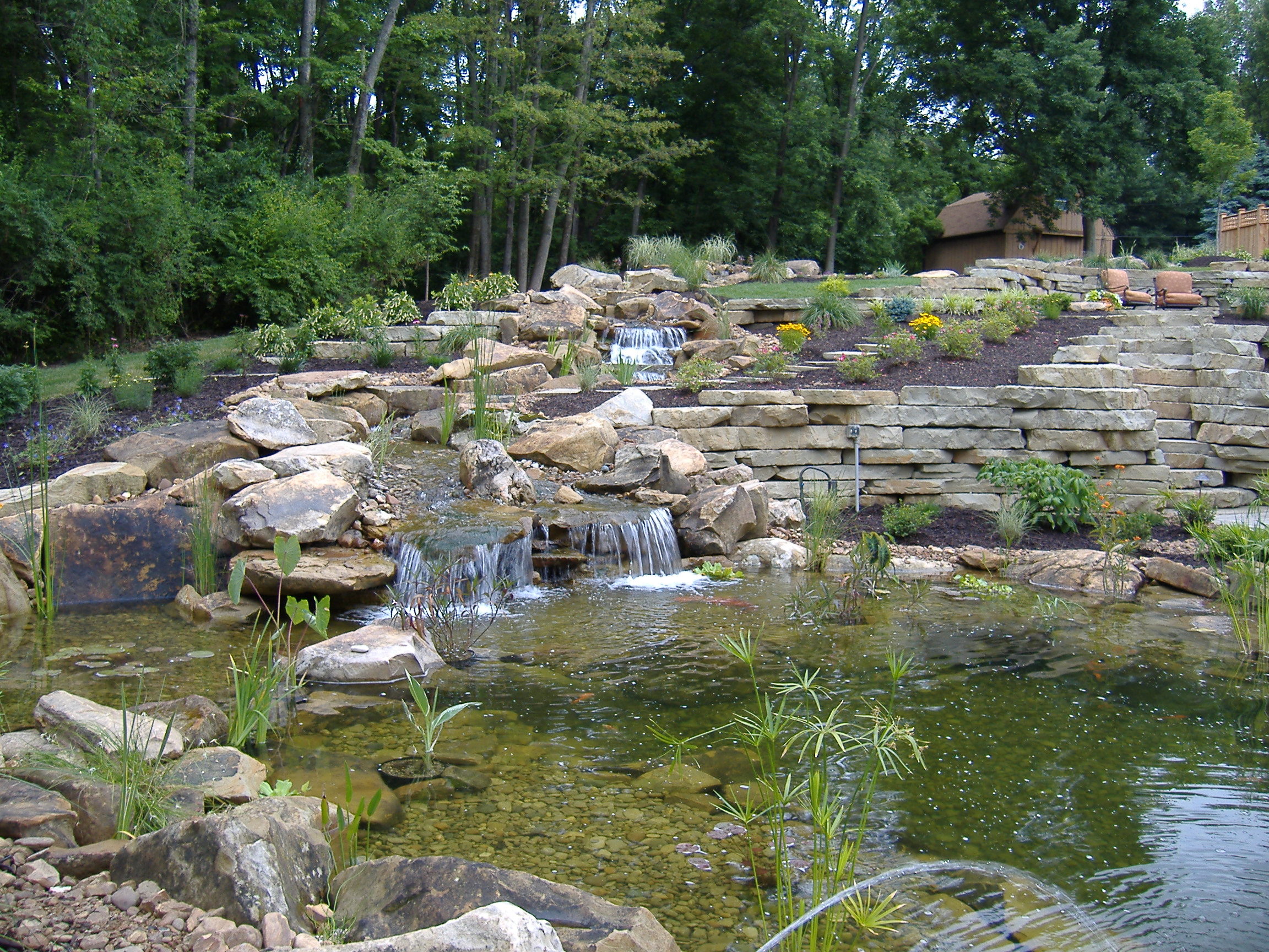Importance of Spring Cleaning for your Water Garden