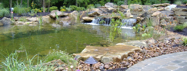 Best Koi Ponds