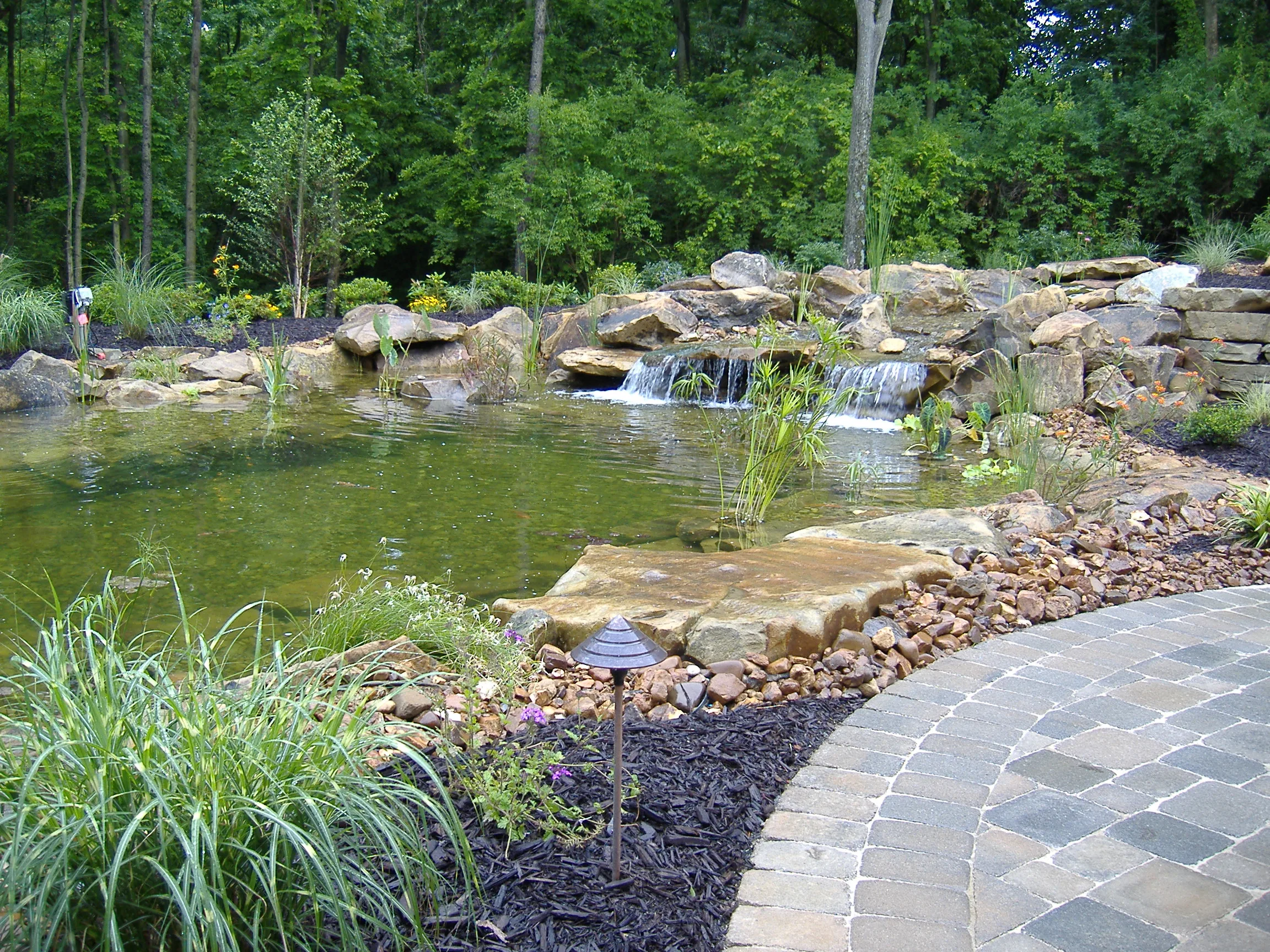 Best Koi Ponds