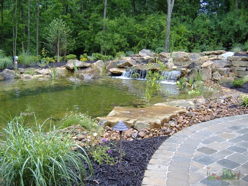 Pond Safety