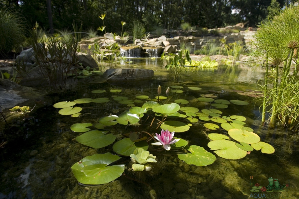 Water Garden Installation