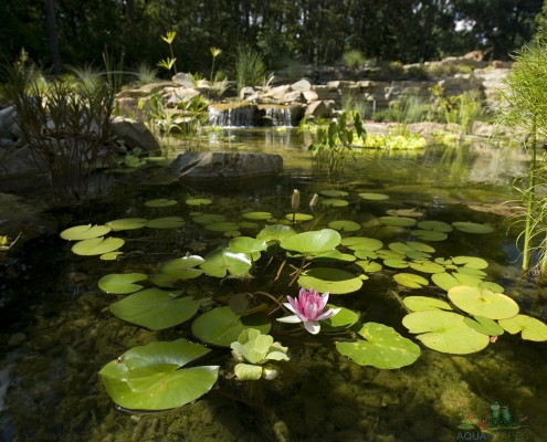 Water Garden Installation