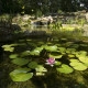 Water Garden Installation