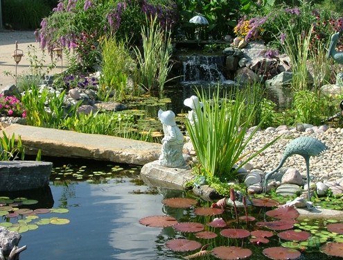 Maintaining Water Quality in Your Water Garden