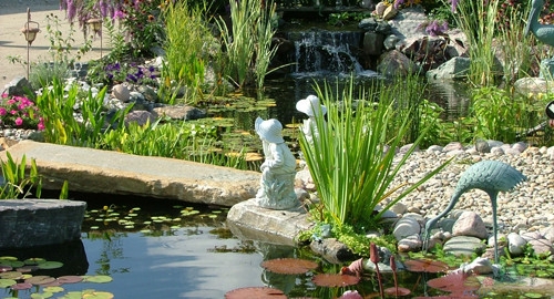 Maintaining Water Quality in Your Water Garden