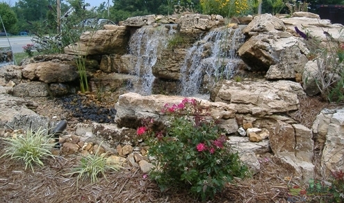 Top Trends in Pond Design for 2025