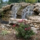 Top Trends in Pond Design for 2025