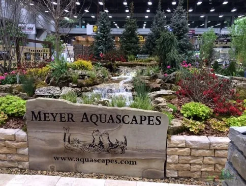 Balancing Water Garden Ecosystems