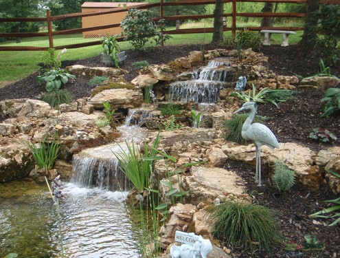 Water Garden Spring Cleaning Tips and Tricks