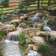 Water Garden Spring Cleaning Tips and Tricks