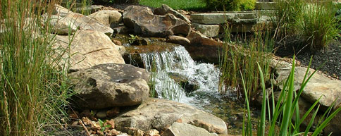 Small-Scale Water Garden Ideas