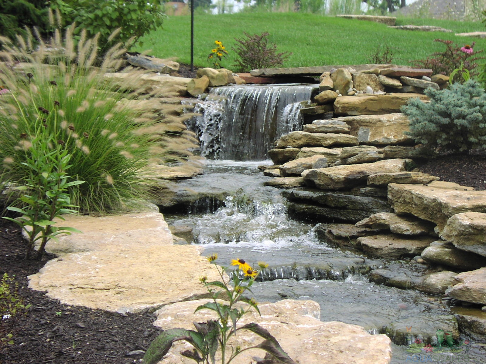 Aquascape pond care tips