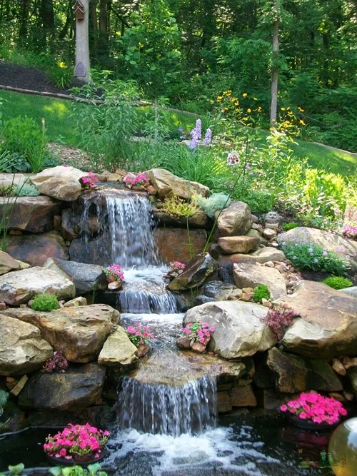 Fall Pond Maintenance