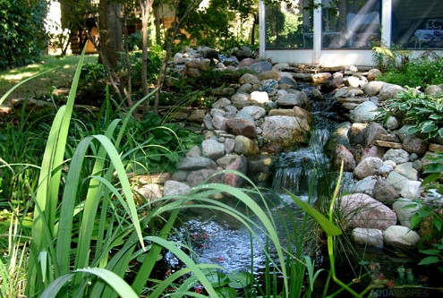 koi pond contractors near me