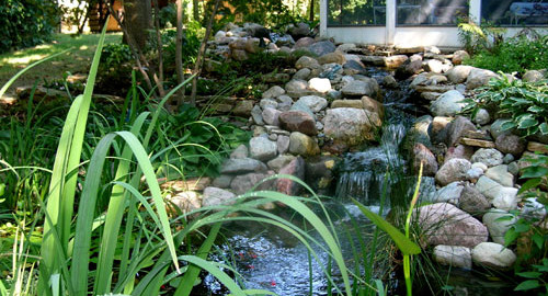 koi pond contractors near me