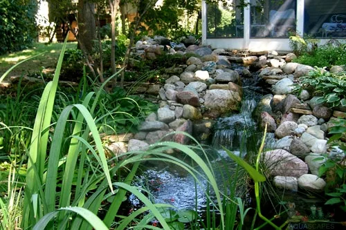 Beautify Your Water Garden: Tips and Ideas for a Stunning Outdoor Oasis