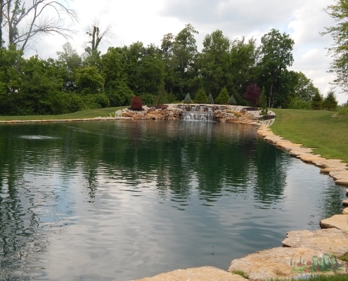 Rain Gardens, Summer Swimming Pond: A Natural Oasis for Cincinnati Homes