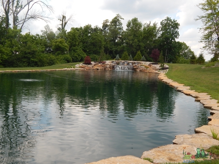 Rain Gardens, Summer Swimming Pond: A Natural Oasis for Cincinnati Homes