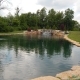 Rain Gardens, Summer Swimming Pond: A Natural Oasis for Cincinnati Homes