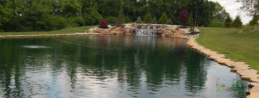 Rain Gardens, Summer Swimming Pond: A Natural Oasis for Cincinnati Homes