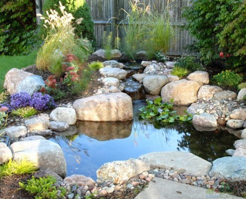 Premium Water Garden Construction