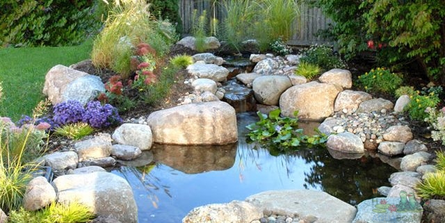 Premium Water Garden Construction