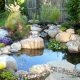 Water Garden Maintenance in Cincinnati, Premium Water Garden Construction