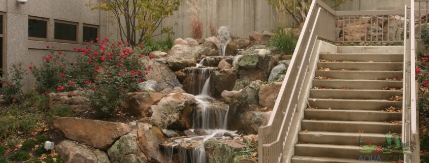 Maximizing Space: Small-Scale Water Garden and Pond Designs