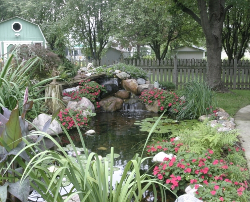 Aquascaping Process, Installing a Backyard Pond