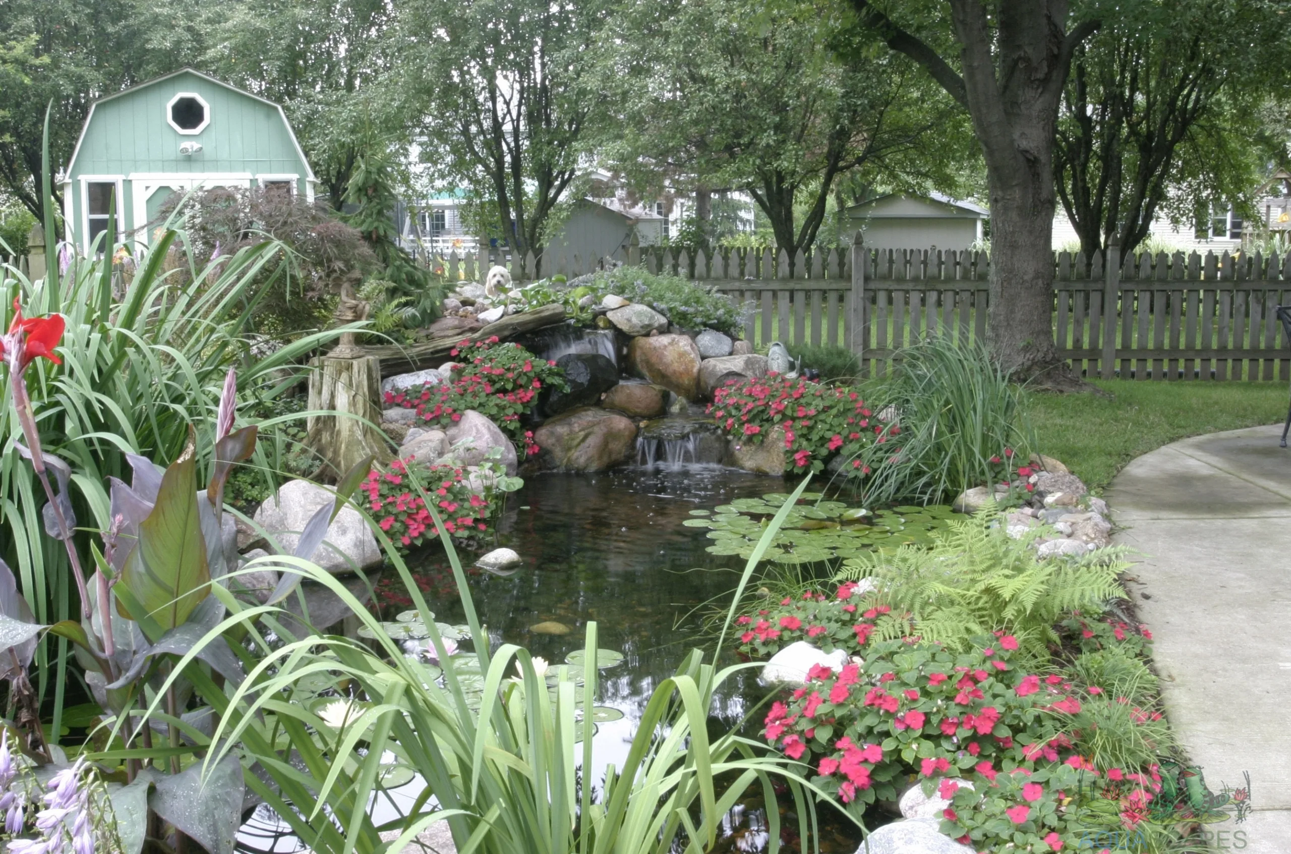 Aquascaping Process, Installing a Backyard Pond