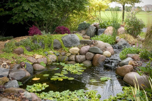 Water Garden Maintenance in Cincinnati, building a water feature