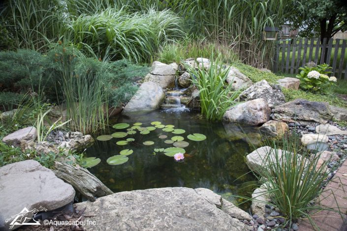 Water gardens are enchanting features that bring a sense of tranquility and beauty to any outdoor space.