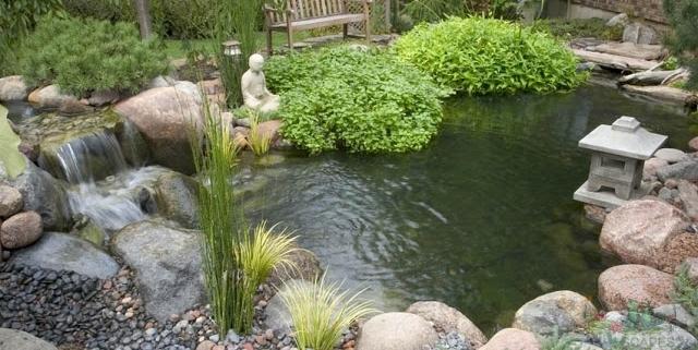 Importance of Spring Cleaning your Water Garden