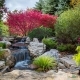 How to Winterize Your Water Garden
