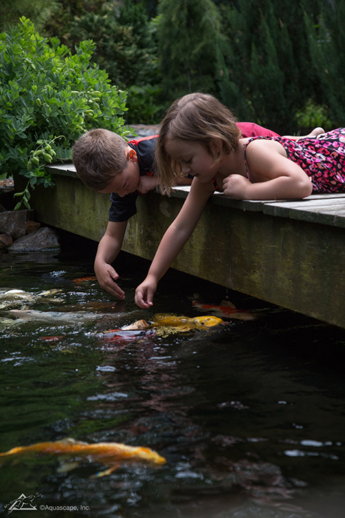 outdoor water garden pond