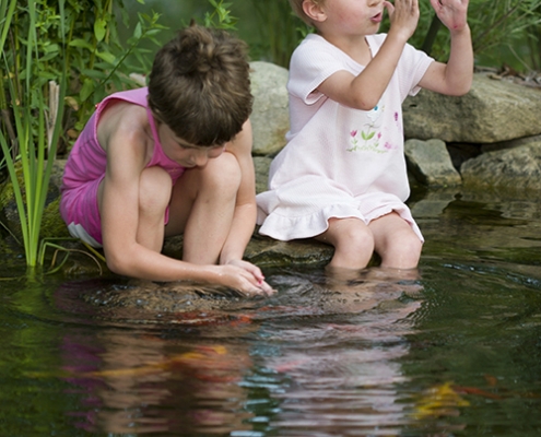 The Beauty and Benefits of Natural Swim Ponds