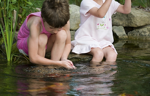 The Beauty and Benefits of Natural Swim Ponds