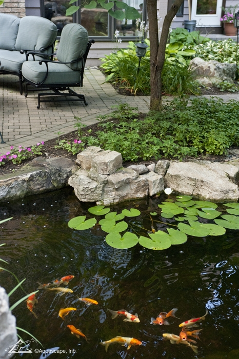 aquascape water feature installation