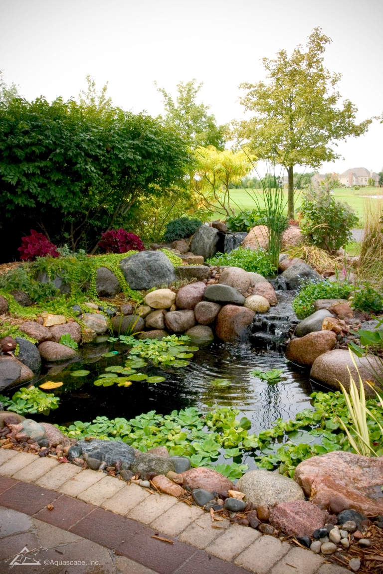 Natural Backyard Pond Irrigation - Aquascapes