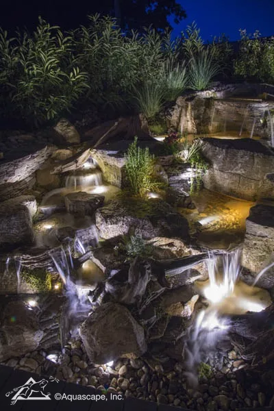 water garden books
