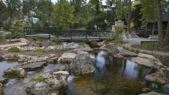 Aquascaping Process